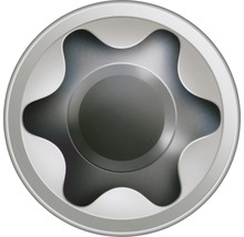 Torx-Bit für Schraubendreher