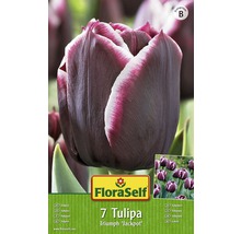 Verpackung Triumph Tulpe ''Jackpot'' mit FloraSelf Logo