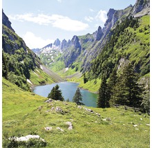 Berglandschaft mit See und grünen Wiesen
