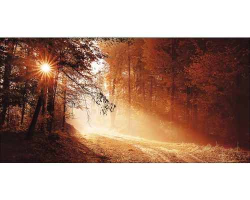 Metallbild Autumn Forest ll 100x200 cm