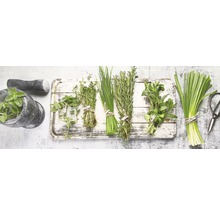 Verschiedene Kräuter wie Oregano, Thymian, Schnittlauch, Rosmarin, Minze und Zitronengras mit Mörser auf einem Holzbrett