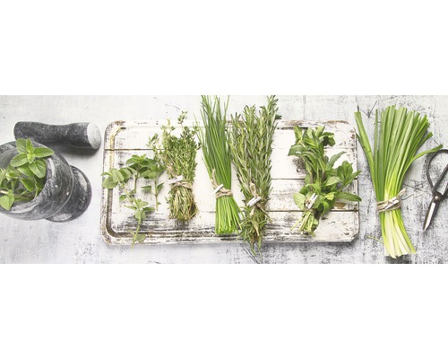 Verschiedene Kräuter wie Oregano, Thymian, Schnittlauch, Rosmarin, Minze und Zitronengras mit Mörser auf einem Holzbrett