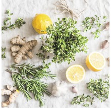 Anordnung von Ingwer, Rosmarin, Thymian, Zitrone und Knoblauch auf Stoff