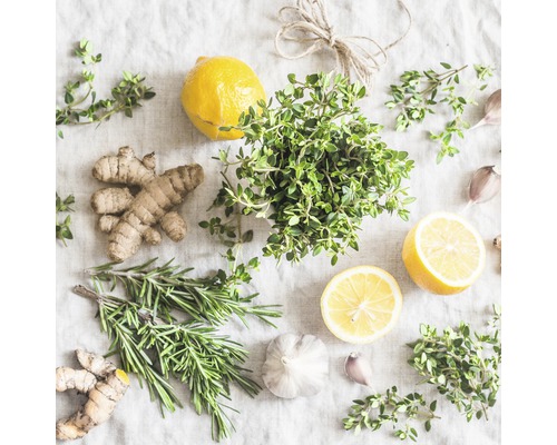Anordnung von Ingwer, Rosmarin, Thymian, Zitrone und Knoblauch auf Stoff