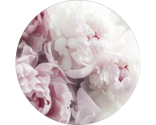 Glasbild rund Peonies II Ø 50 cm GLR014