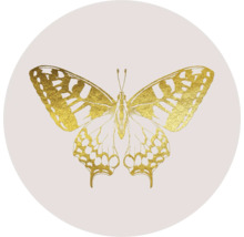 Goldfarbener Schmetterling auf rundem Hintergrund