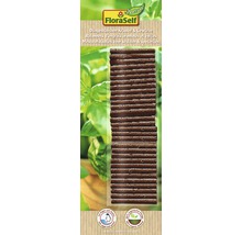 FloraSelf Düngestäbchen für Kräuter und Gewürze
