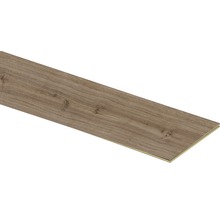 Laminatbodenpaneel mit Holzstruktur