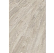 SKANDOR Laminat Cloud Pine Kiefer Landhausdiele 1380 x 193 x 8 mm