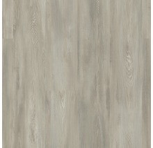 SKANDOR Laminat Cloud Pine Kiefer Landhausdiele 1380 x 193 x 8 mm