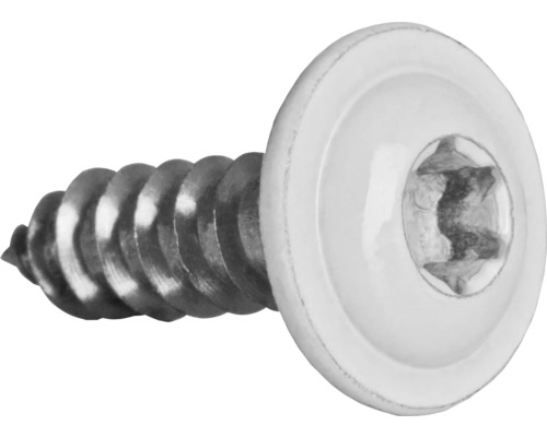 Blechschraube m. Bund I-Stern 4,8x19 mm Edelstahl A2 weiß