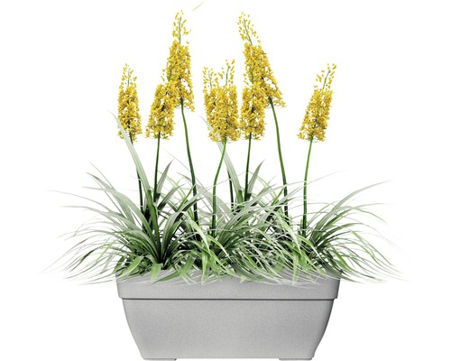 Gelbe Blumen in einem grauen Pflanzgefäß