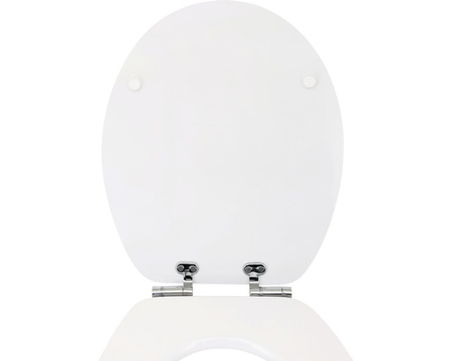 Toilettendeckel aus Kunststoff mit Befestigung