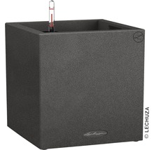 Pflanzkübel Lechuza Canto Stone 40 x 40 x H 40 cm schwarz inkl. Erdbewässerungsystem Pflanzeinsatz Substrat Wasserstandsanzeiger