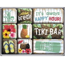 Kühlschrankmagnet mit Hawaii-Motiven