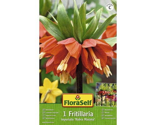 Verpackung einer Kaiserkrone ''Rubra Maxima'' von FloraSelf