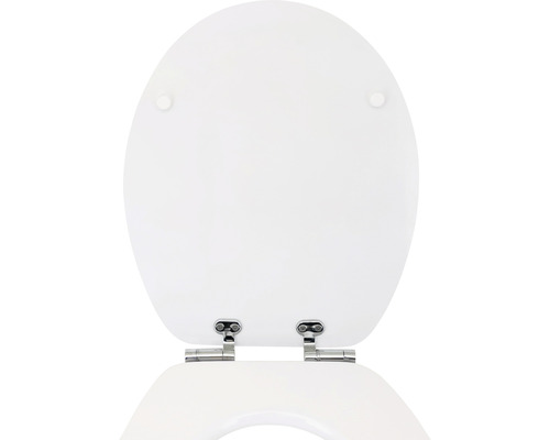 Toilettendeckel aus Kunststoff