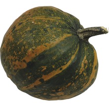 Einzelner Kürbis
