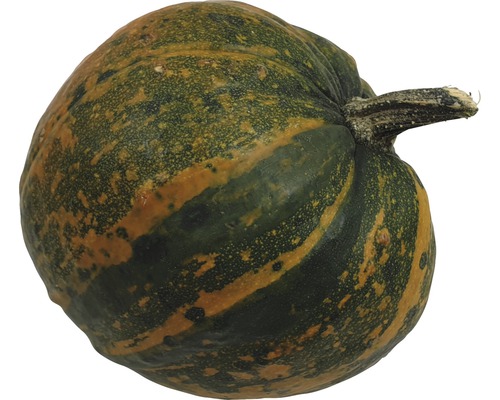 Einzelner Kürbis