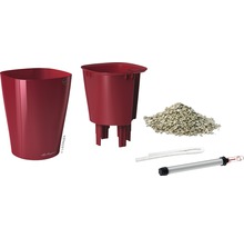 Lechuza Classico Color 21 Pflanzgefäß inklusive Bewässerungsset