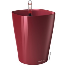 Roter Pflanztopf mit Wasserstandsanzeige