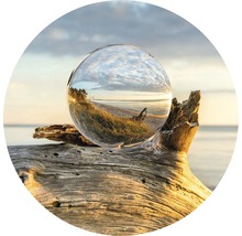 Dekorative Glaskugel auf einem Baumstumpf, die eine Strandszene einfängt