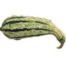 Dekorativer Zierkürbis