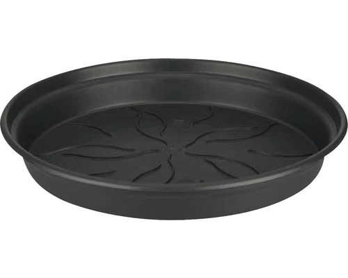 Blumentopf Untersetzer elho Green Basics Kunststoff Ø 34 H 5 cm anthrazit Pflanzenuntersetzer aus Kunststoff