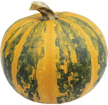 Gelb gestreifter Kürbis