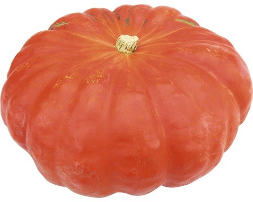 Ein Kürbis