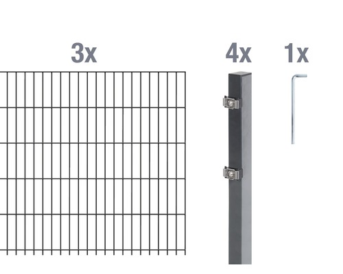 Doppelstabmatten-Set ALBERTS 6/5/6 600 x 120 cm anthrazit Doppelstabmatten-Set ALBERTS 6/5/6 600 x 120 cm anthrazit
