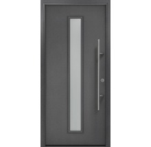 Moderne Haustür mit Glasausschnitt und Griff