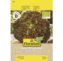 Salatsamen von FloraSelf für Pflücksalat
