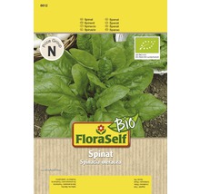 FloraSelf Spinat Samenpackung