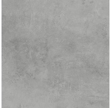 Feinsteinzeug Wand- und Bodenfliese HOMEtek grey matt 100 x 100 cm-thumb-0