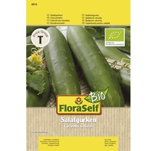 Bio Salatgurke FloraSelf Bio samenfestes Saatgut Gemüsesamen-thumb-0