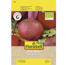 FloraSelf Rote Bete Samenpackung