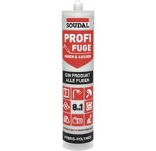 Soudal Profi Fuge für den Innen- und Außenbereich