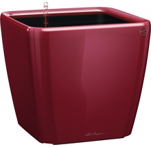 Pflanzkübel Lechuza Quadro 28 x 28 x H 26 cm rot inkl. Erdbewässerungsystem Pflanzeinsatz Substrat Wasserstandsanzeiger