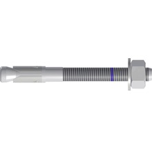 Bolzenanker Tox S-Fix Pro M12x180/84, 20 Stück