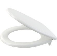 Toilettensitz aus Kunststoff