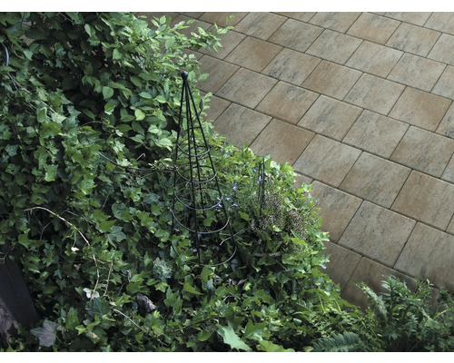 Gartenansicht mit Steinplatten und Pflanzenbewuchs