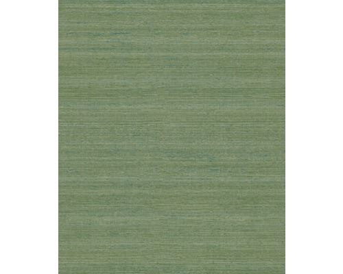Grüne Tapete mit horizontaler Textur