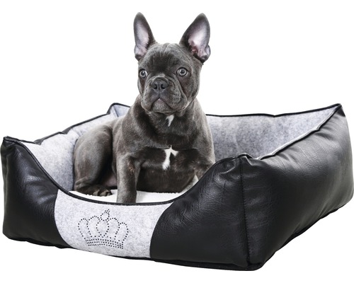 Hund liegt in einem schwarzen Hundebett mit Kronenmuster.
