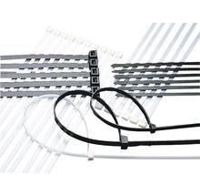 Haupa 262620 Kabelbinder UV-beständig 302x4,8 mm Nylon schwarz 100 Stück-thumb-1