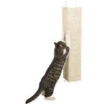 Katze kratzt an einem Kratzbaum aus Sisal