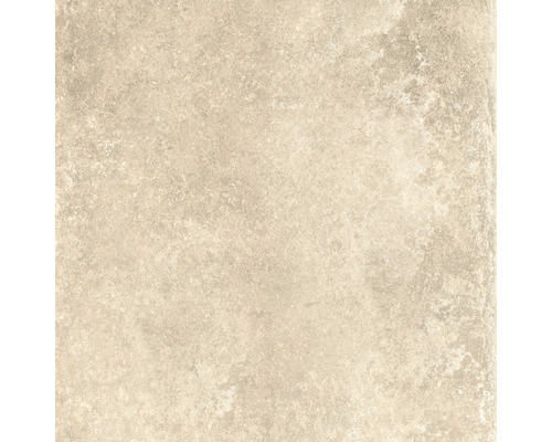 Feinsteinzeug Wand- und Bodenfliese Country Cream rektifiziert 60 x 60 x 0.85 cm Feinsteinzeug Wand- und Bodenfliese Country Cream rektifiziert 60 x 60 x 0.85 cm