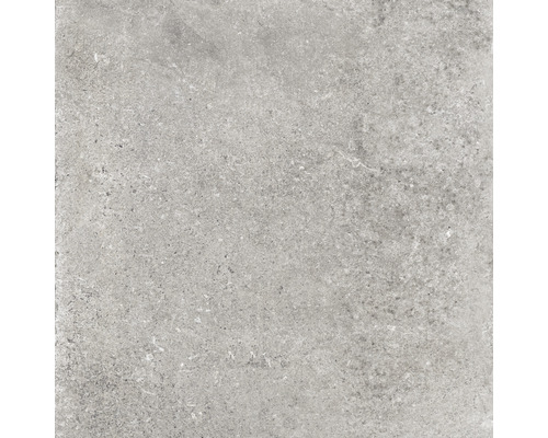 Feinsteinzeug Wand- und Bodenfliese Country Grey rektifiziert 60 x 60 x 0.85 cm