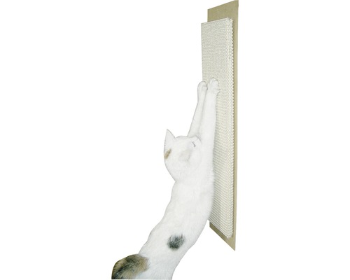 Katze kratzt an einem Kratzbrett zur Krallenpflege