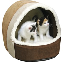 Katzendom mit zwei Kätzchen